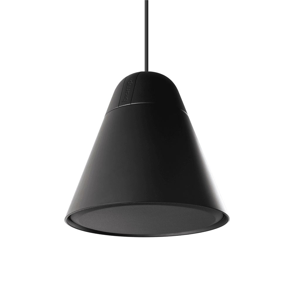 BiAmp P30DT - 4.5" Two-way pendant loudspeaker