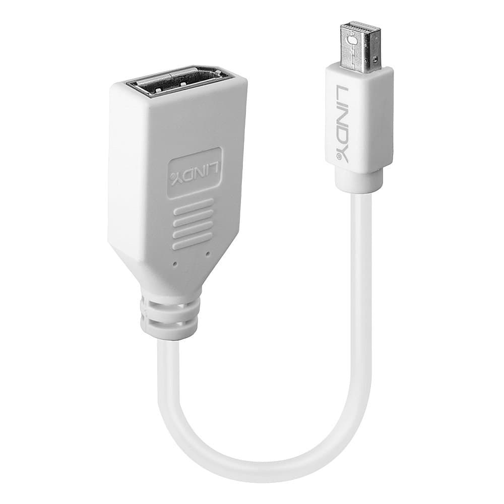Lindy - 41021 20Cm Mini Displayport Male To Displayport Female Adapter Cable