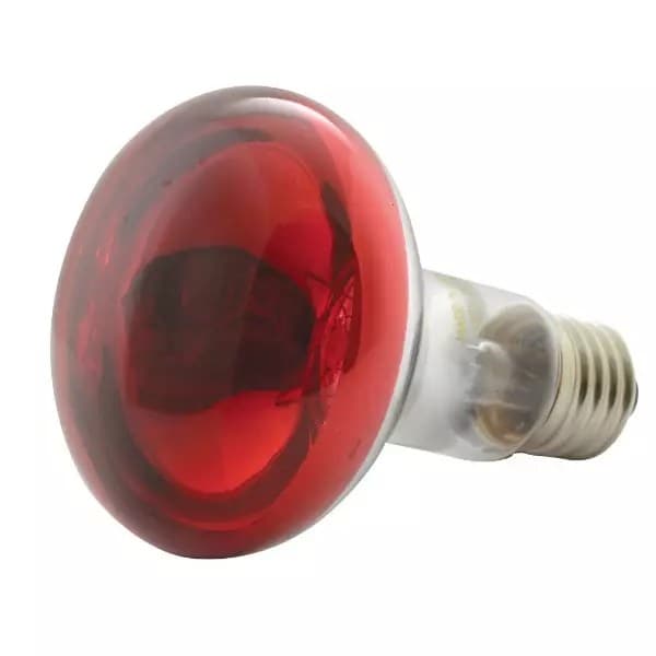 QTX - R80-R COLOURED REFLECTOR LAMP RED E27