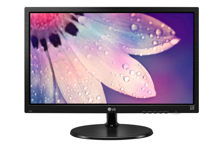 LG 19" LED Monitor : 19M38A