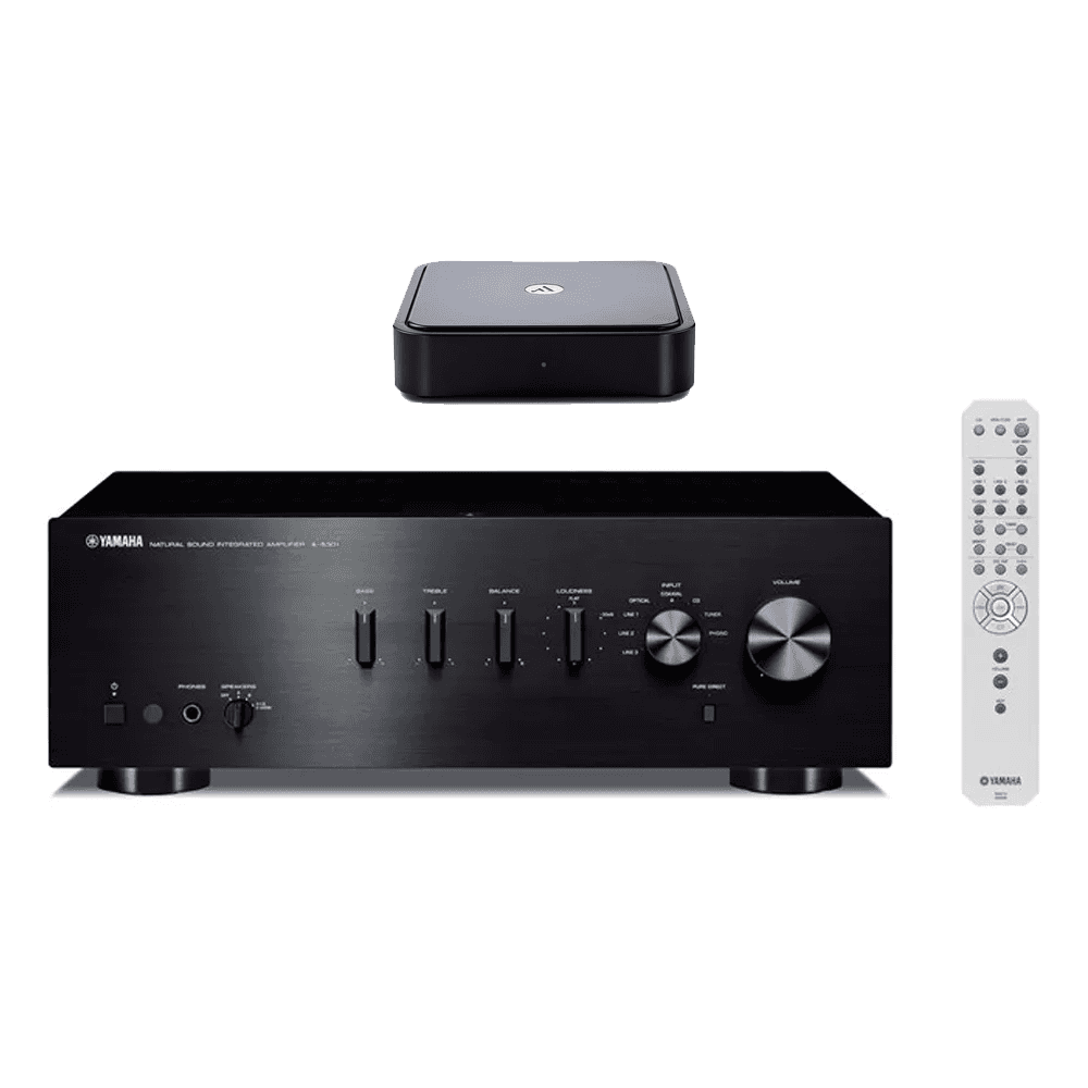 Yamaha A-S301 with Argon Solo Streaming Device