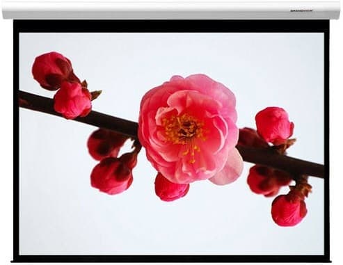 Grandview Cyber 100" Motorised Projector Screen 4:3