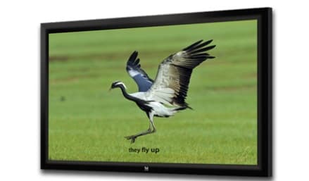 JK F9-120 - Fixed Frame Screen
