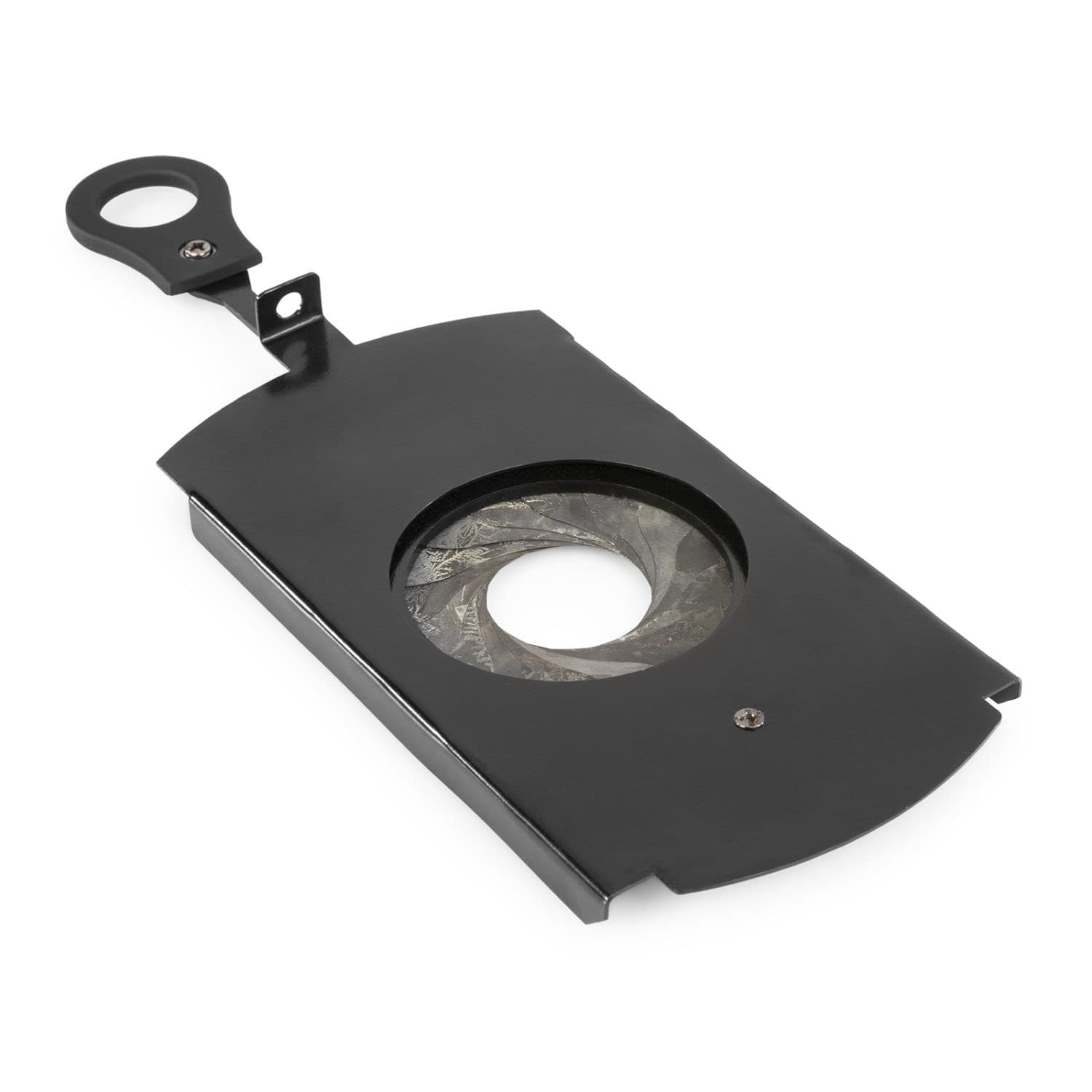 BeamZ - BeamZPro Iris for BTS