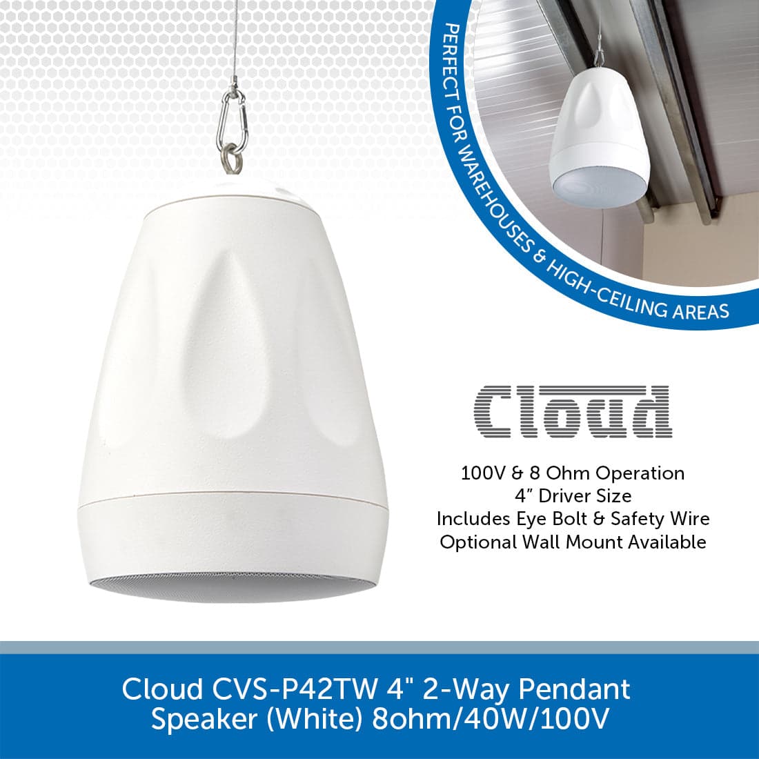 Cloud CVS-P42TW - 4